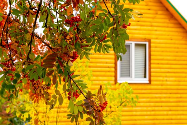 Garden Window Replacement in Wappingers Falls